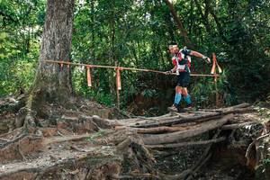 BIB: 
                            <button type="button" onclick="openModal(27801957)" class="btn btn-primary btn-sm float-right btn-popup" data-toggle="modal" data-target=".modal-high-quality">
                        <i class="fas fa-shopping-cart"></i> Add to Cart
                    </button>
                                            <button type="button" onclick="isThisMe(27801957, true)" class="btn btn-success btn-sm float-right btn-popup btn-isme hidden" data-toggle="tooltip" data-placement="bottom" title="นี่คือรูปของคุณใช่ไหม คลิกที่นี่เพื่อเอาเข้าอัลบั้ม">
                        <i class="fas fa-plus"></i> Add to album
                    </button>
                    <button type="button" onclick="isThisMe(27801957, false)" class="btn btn-warning btn-sm float-right btn-popup btn-isnotme hidden">
                        <i class="fas fa-ban"></i> Remove from album
                    </button>